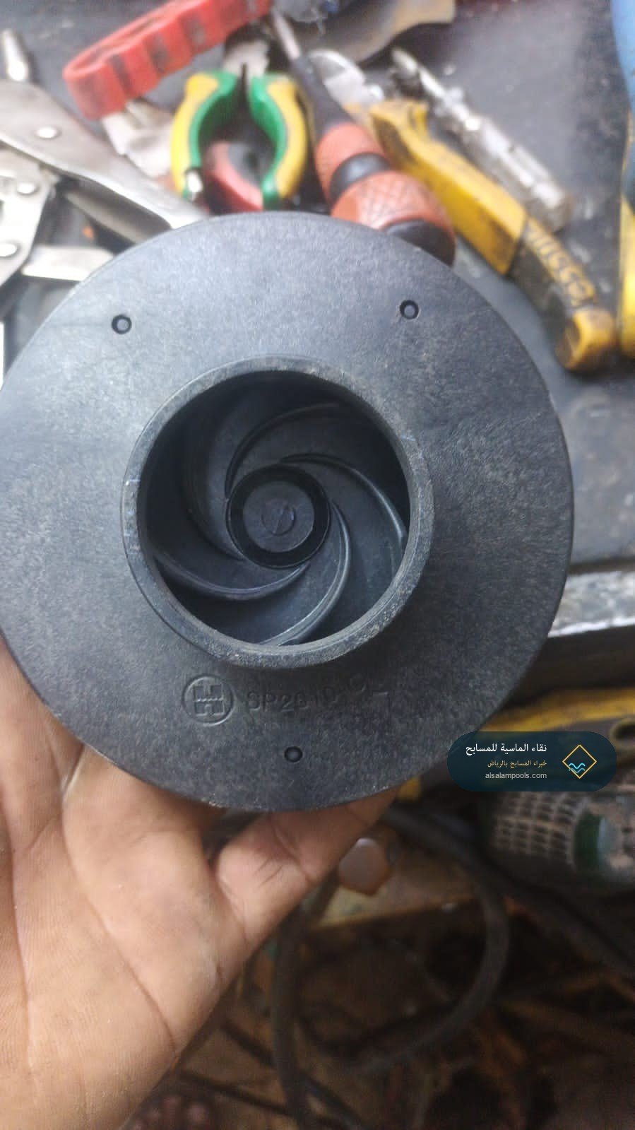 فني نقاء الماسية يفحص دفة مضخة مسبح متضررة بجانب صندوق العدة